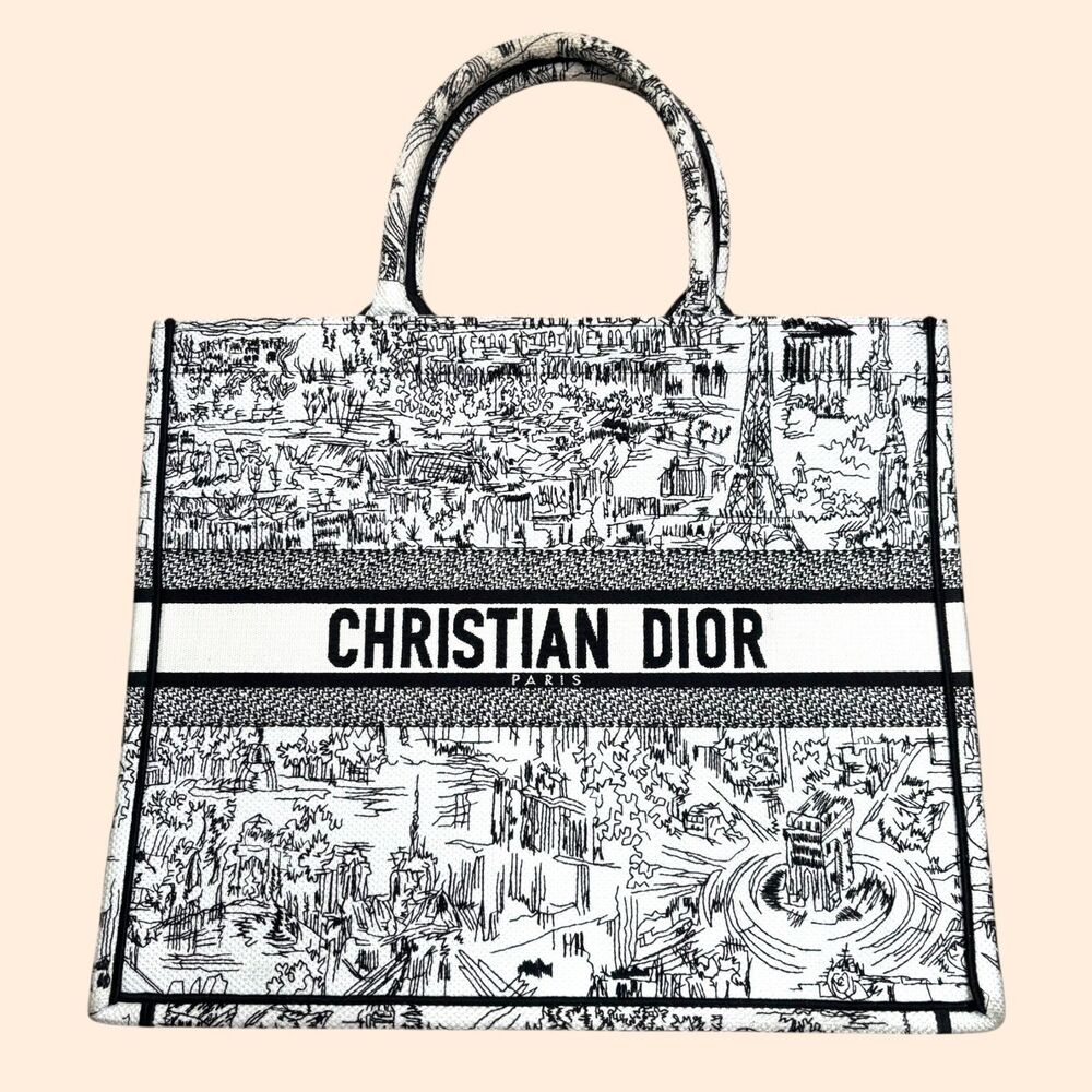 Christian Dior Book Tote Plan De Paris Bag